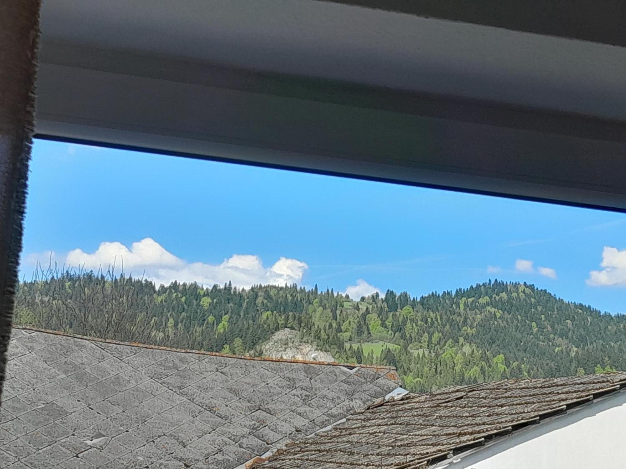 Apartamenty W Pieninach - 2 Sypialnie Sromowce Wyzne Εξωτερικό φωτογραφία